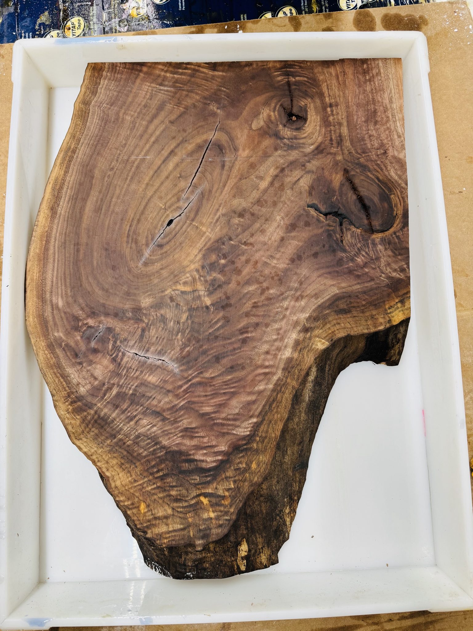 Walnut crotch live edge slab