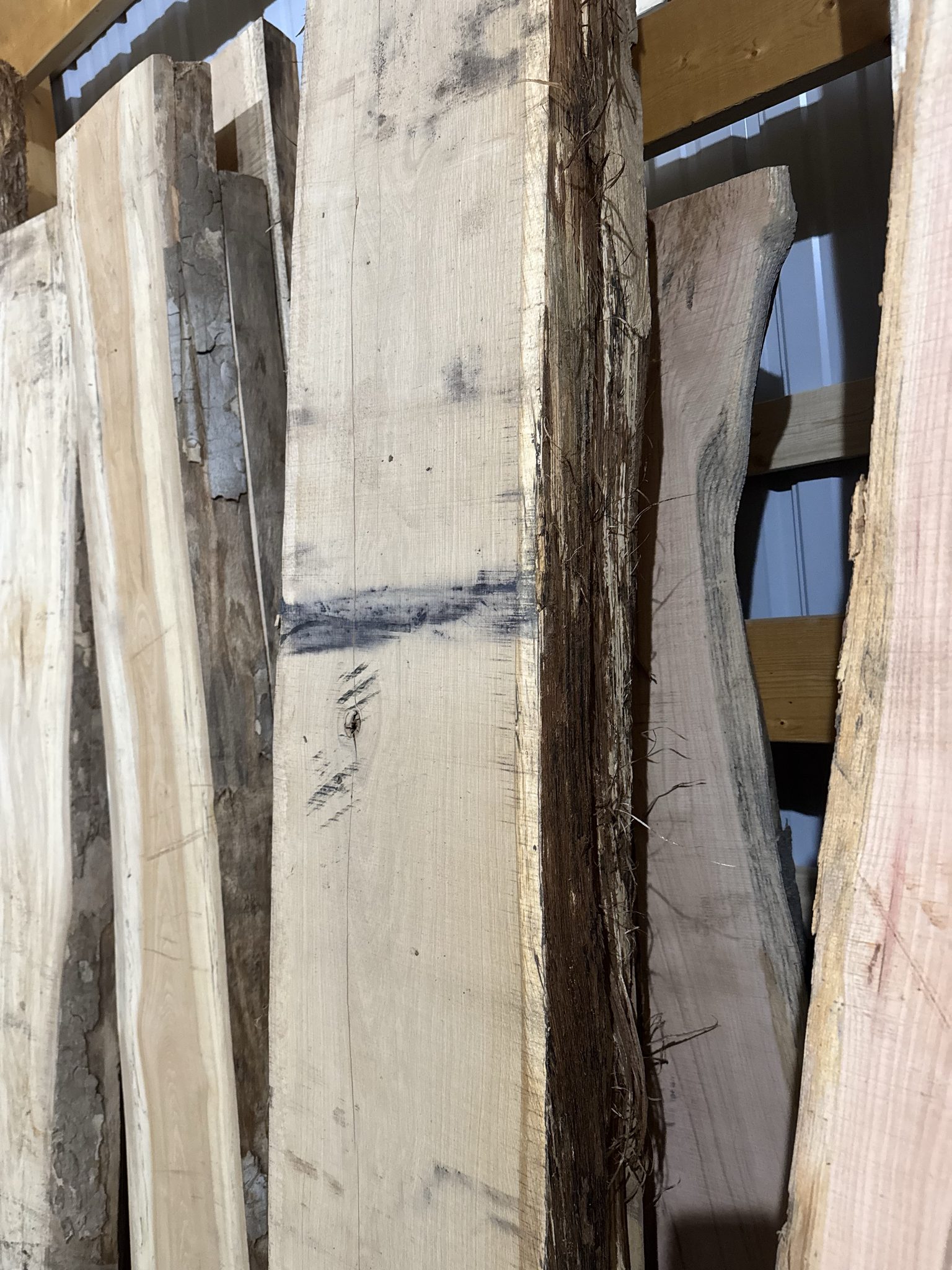 Live edge slabs leaning in the shop