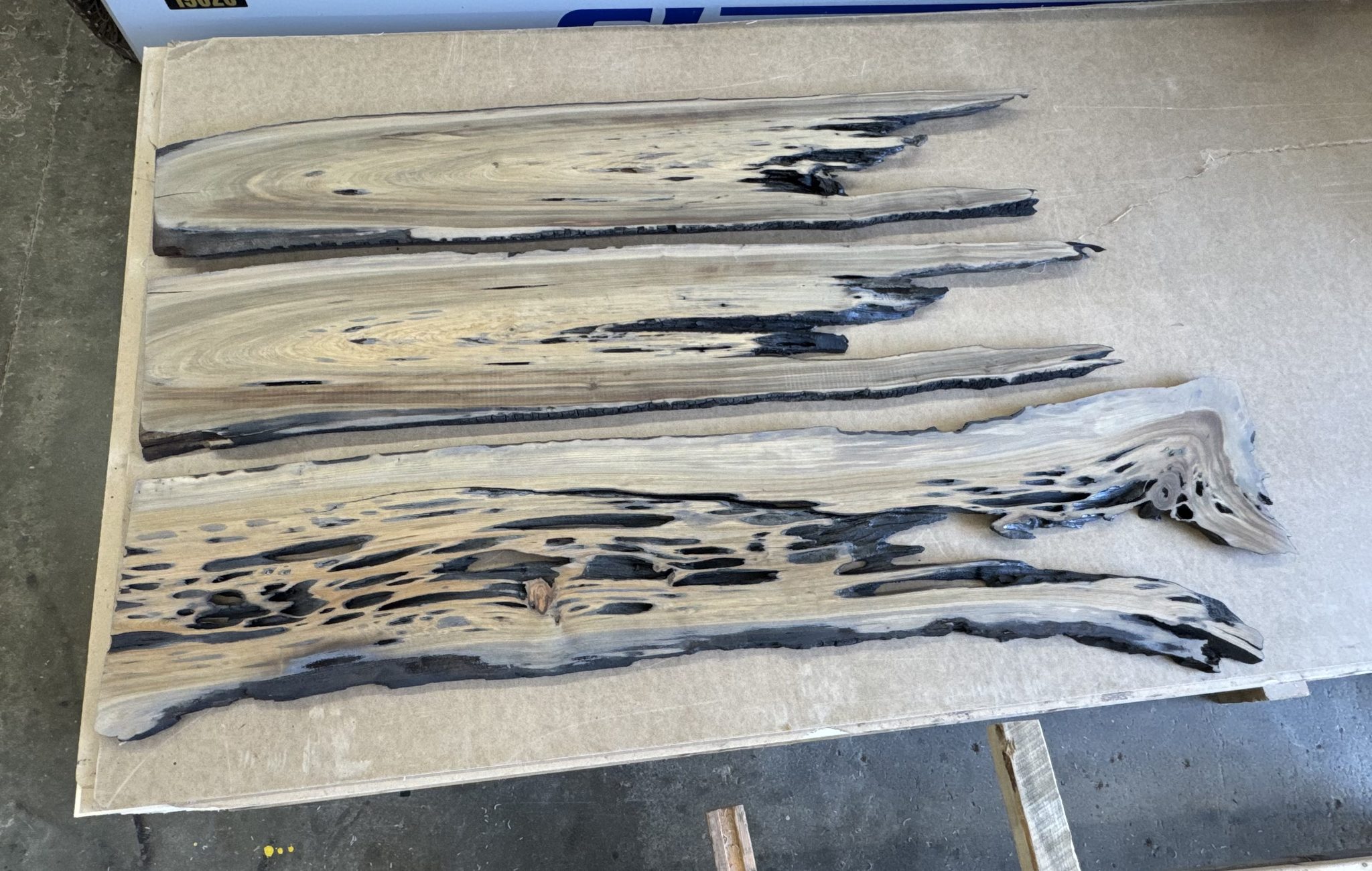 Thin live edge slabs laid out