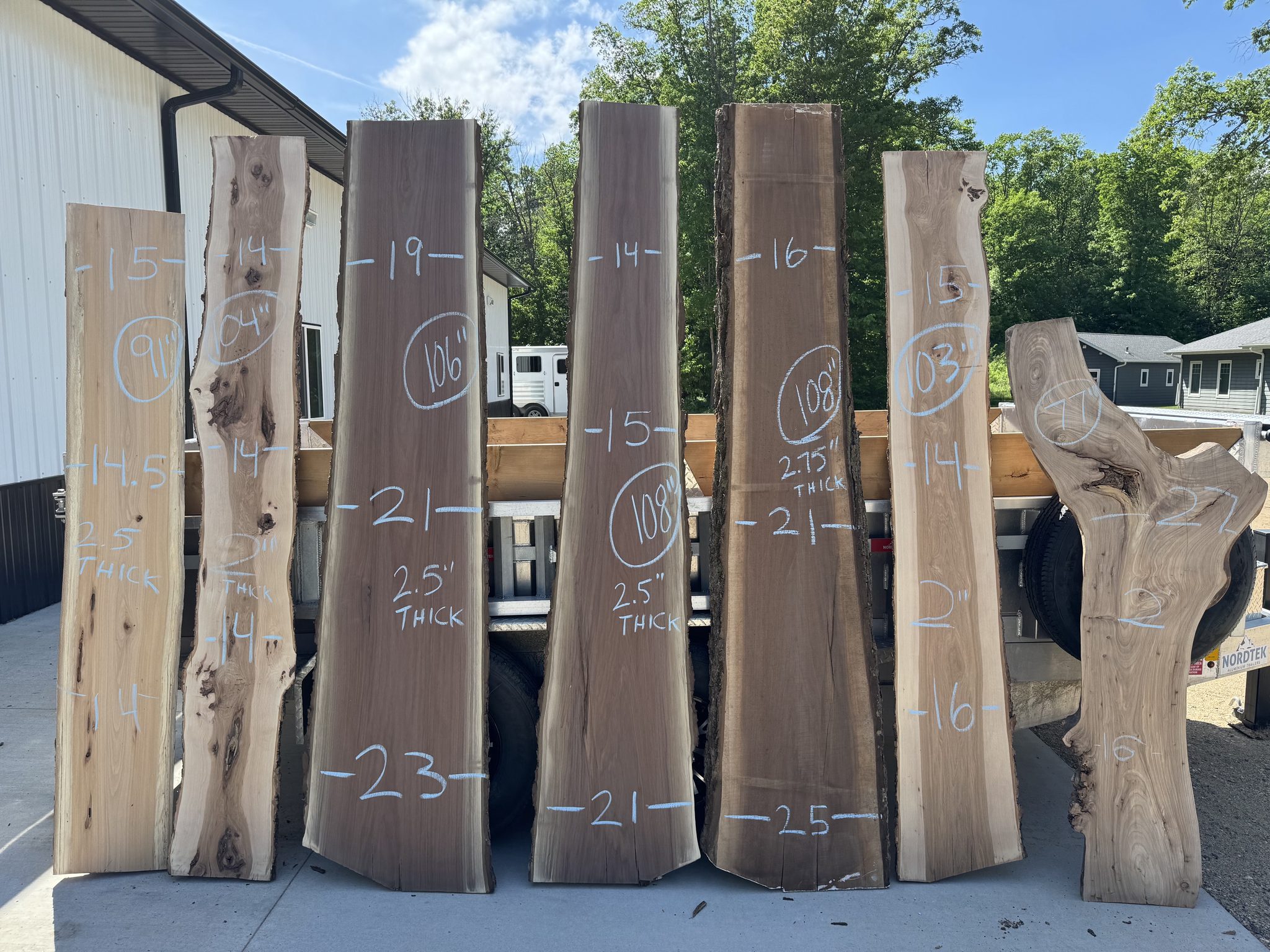Live edge slabs marked for layout