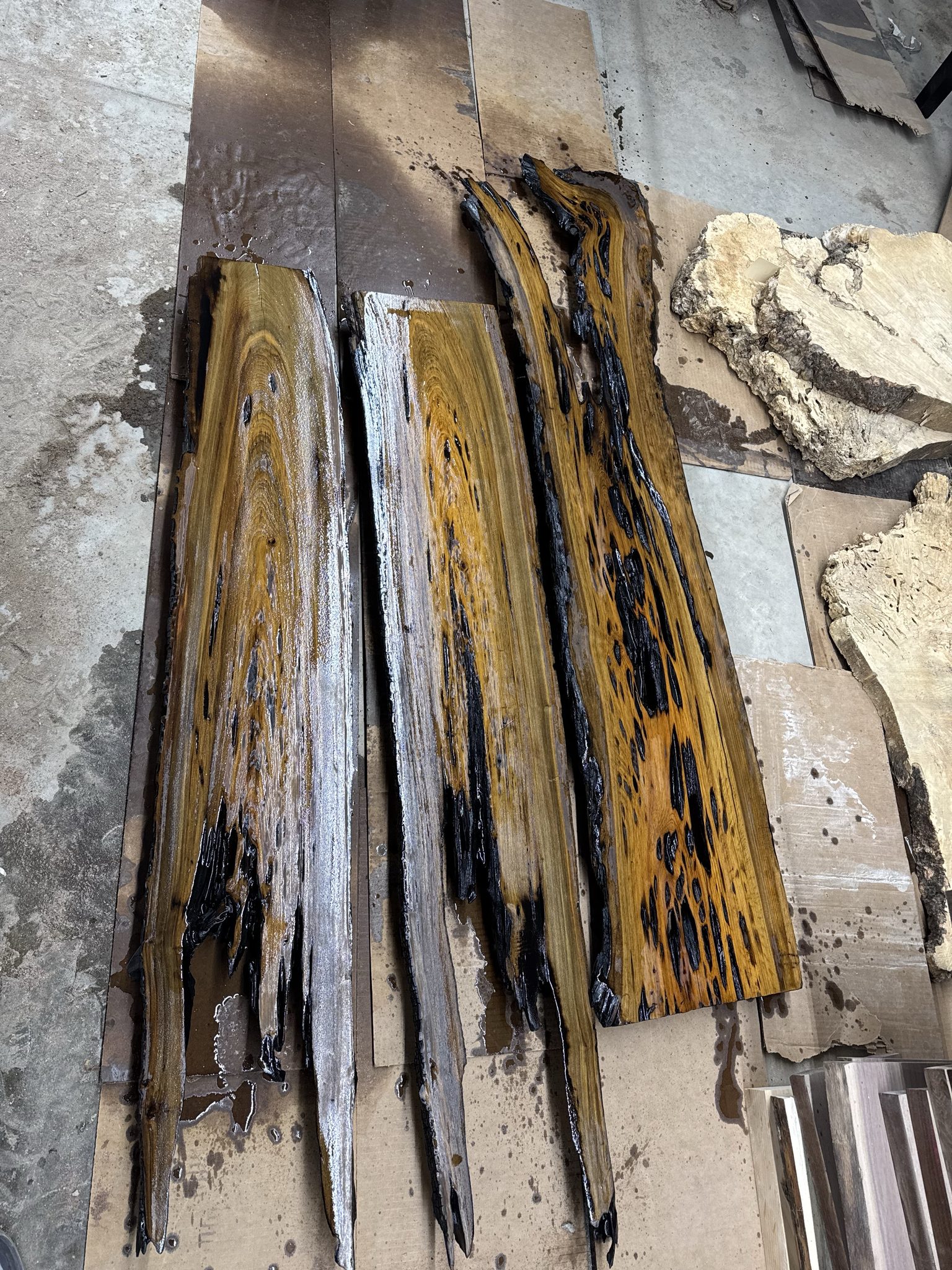 Spalted live edge slabs
