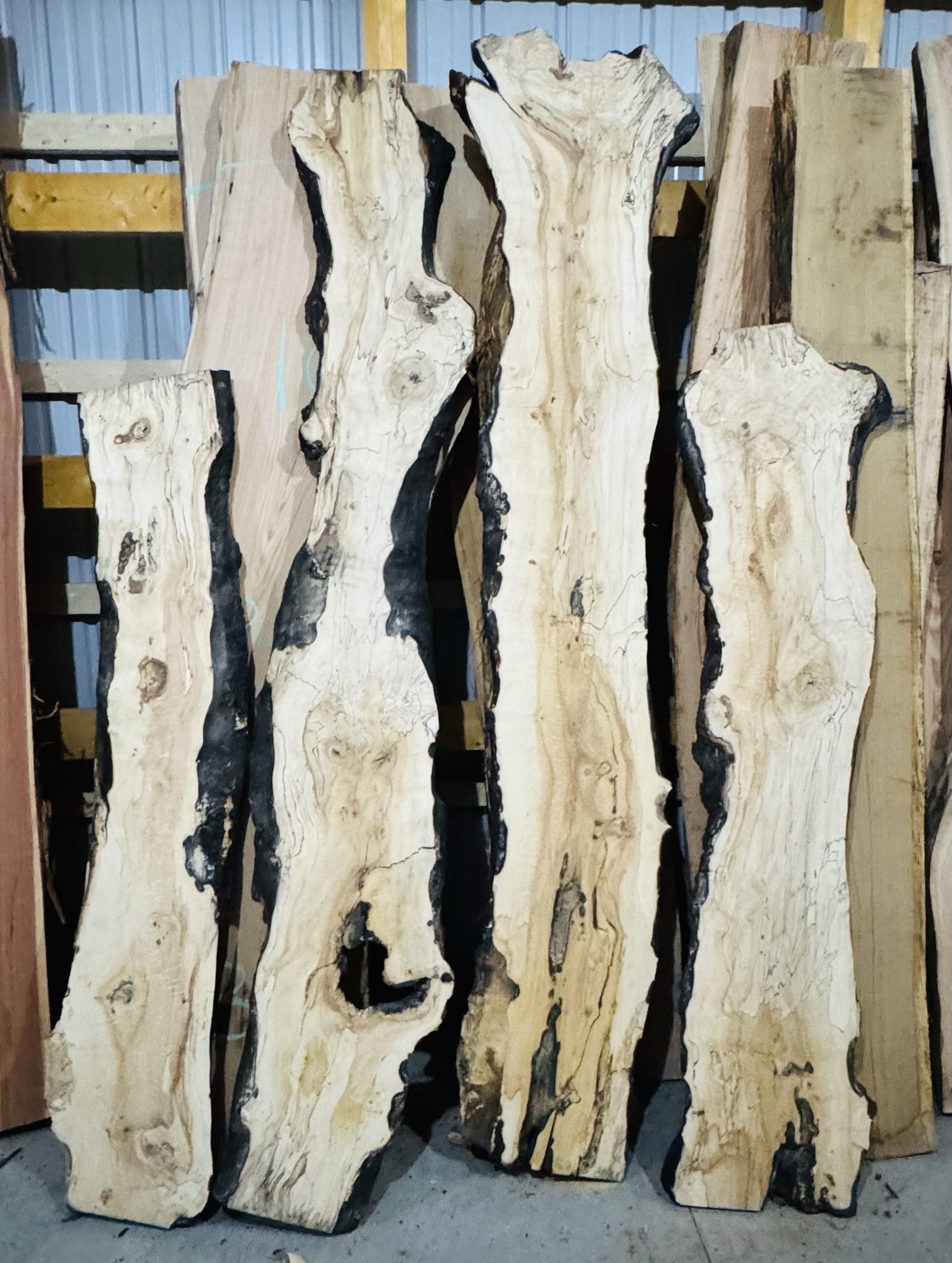 Raw live edge slabs