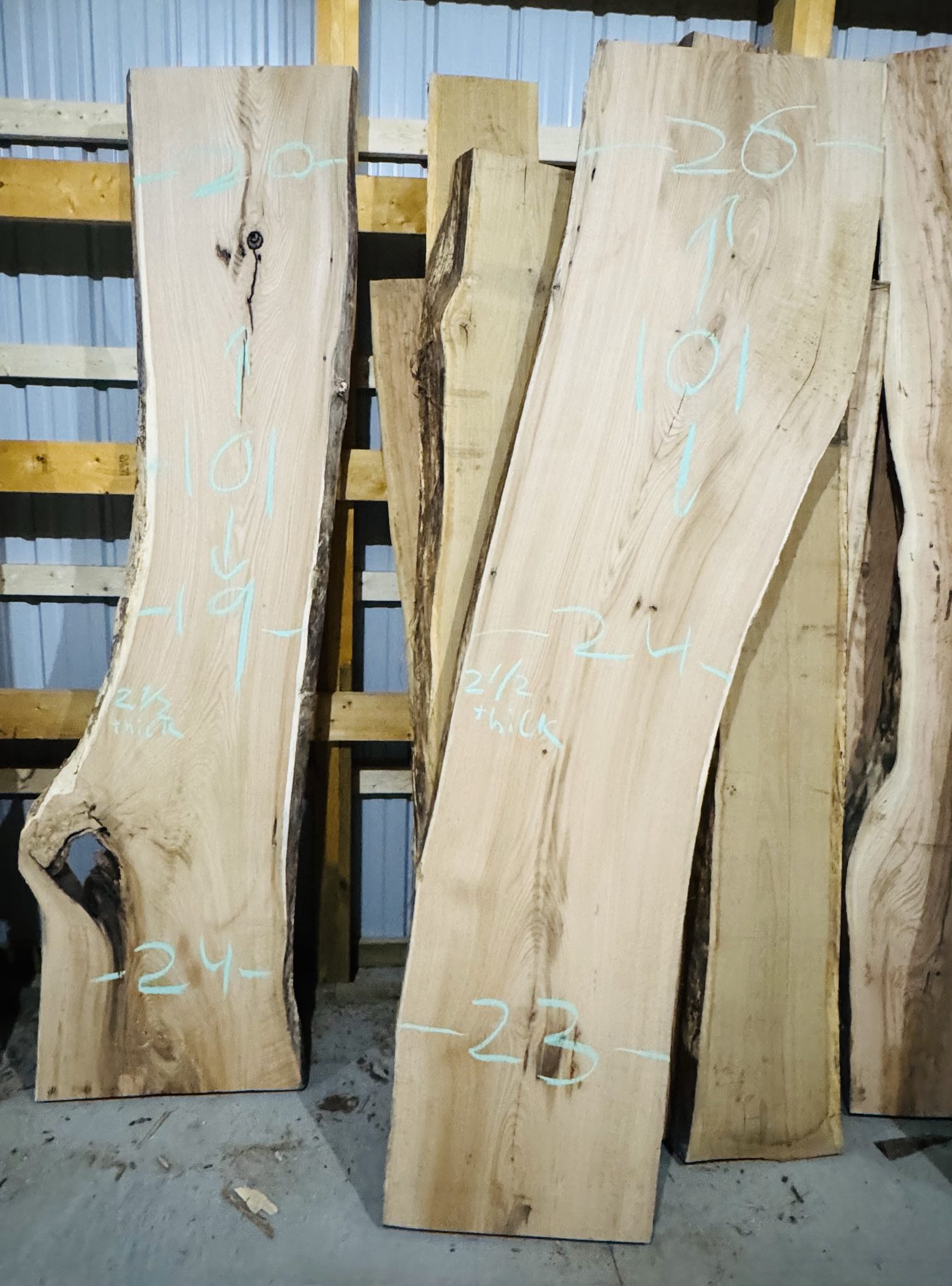 Raw live edge slabs