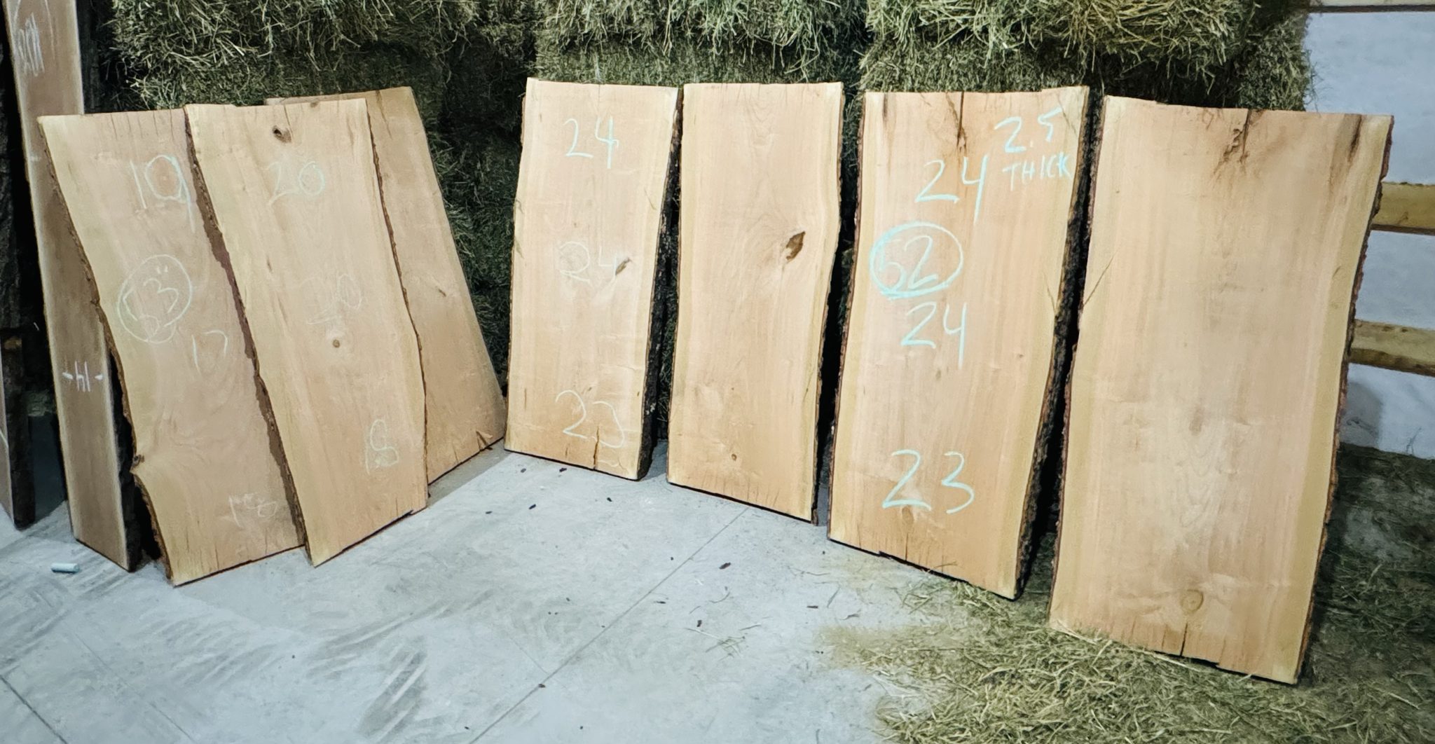 Live edge boards laid out