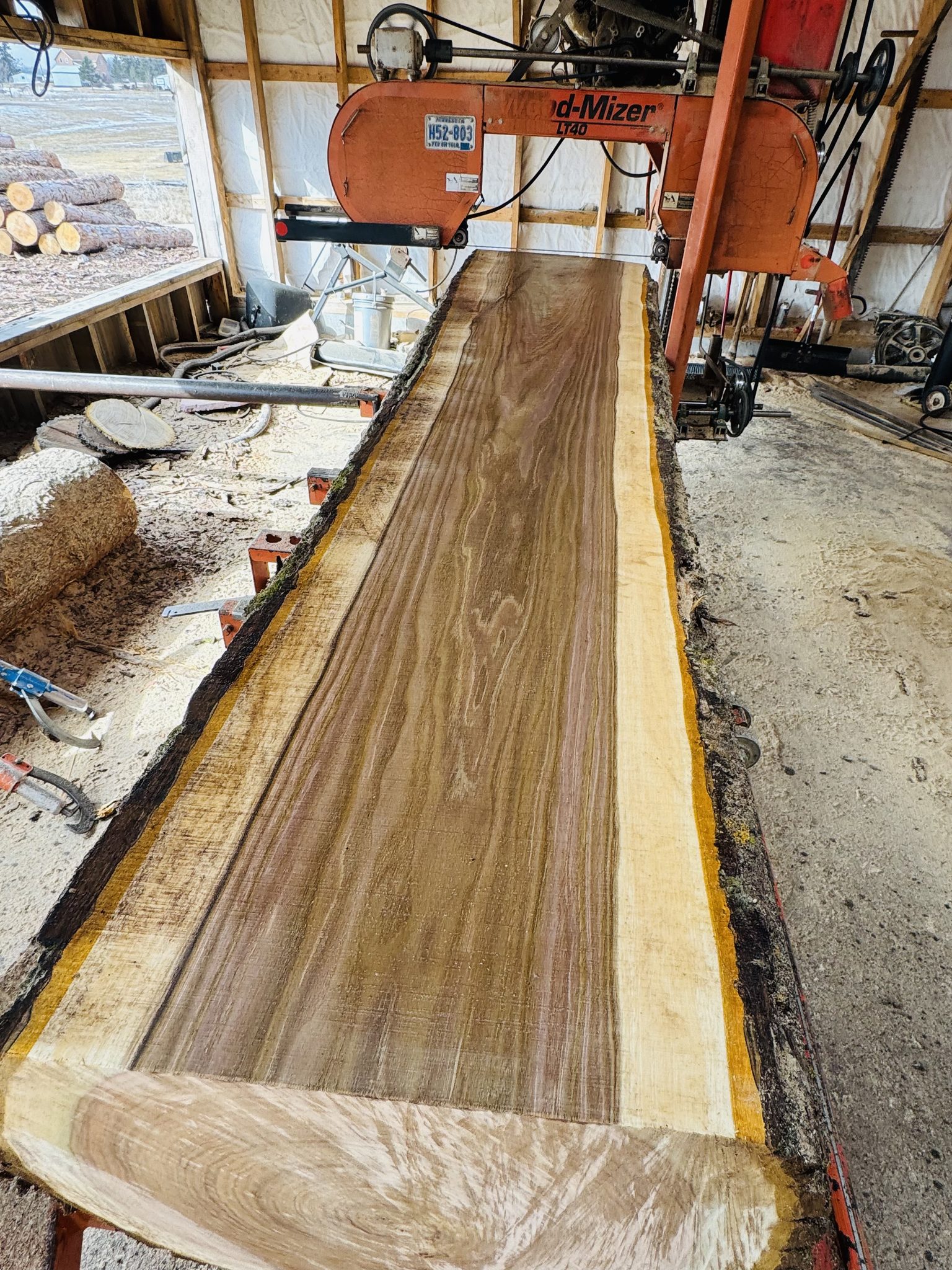 Walnut slab on Wood-Mizer sawmill