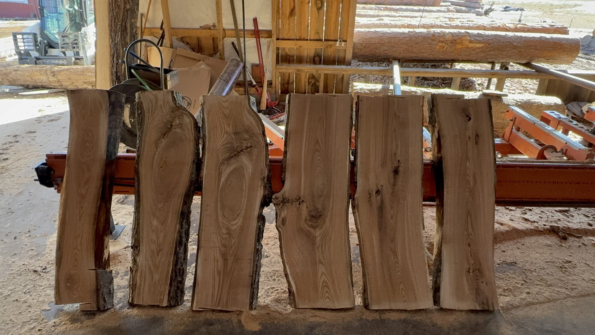 Raw cut hardwood slabs in workshop