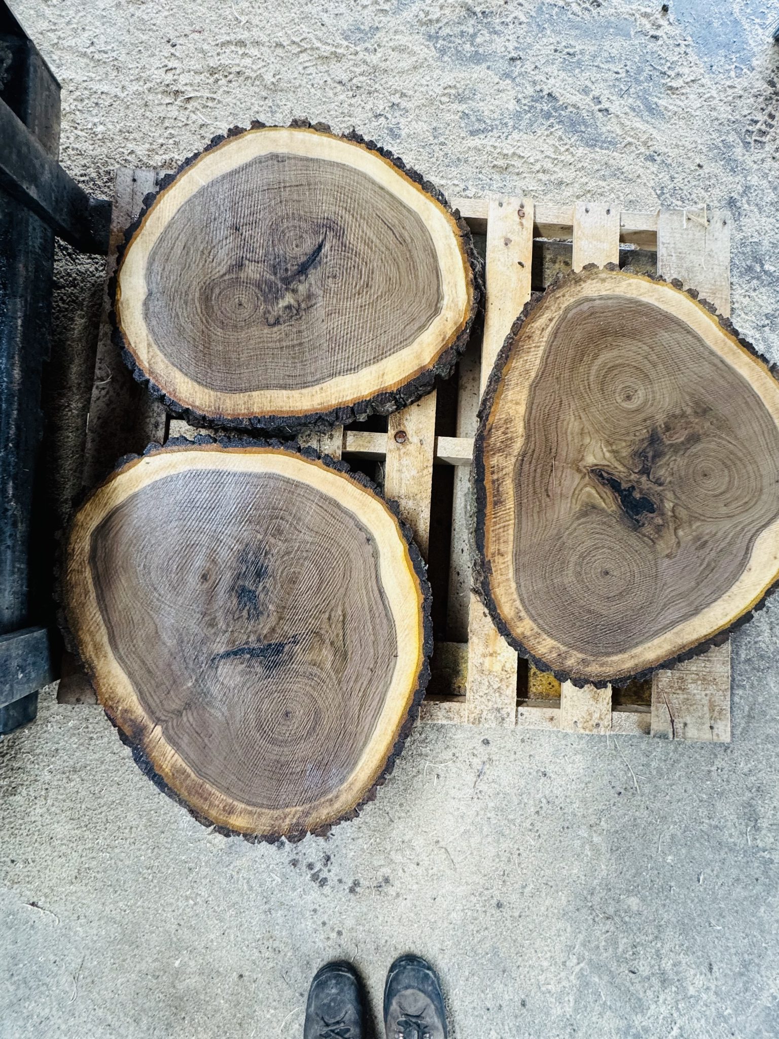 Wood rounds for tabletops